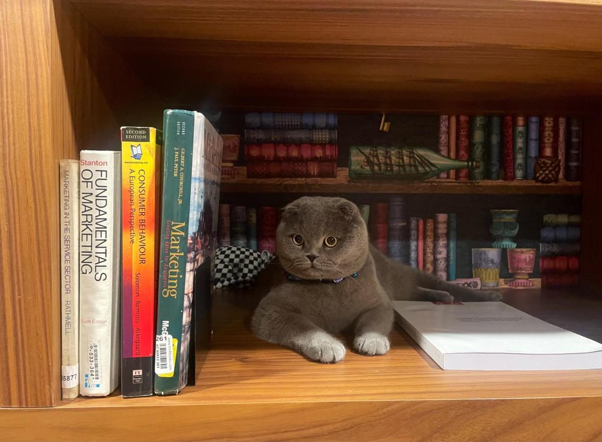 Hotel Cotto Do Gatto Понте да Барка Екстериор снимка
